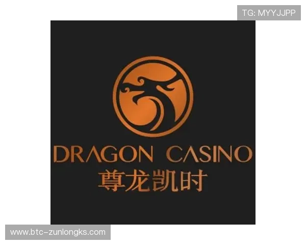 探索尊龙凯时入口的安全性和保障，用户须知事项