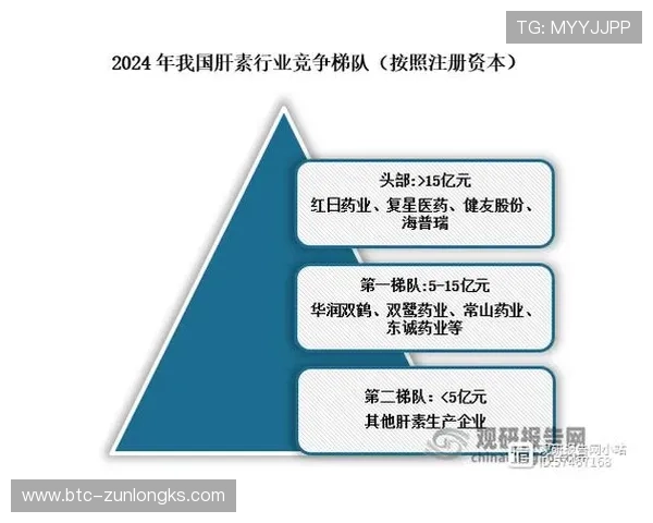 探讨凯时官网的合法性及其在行业中的地位